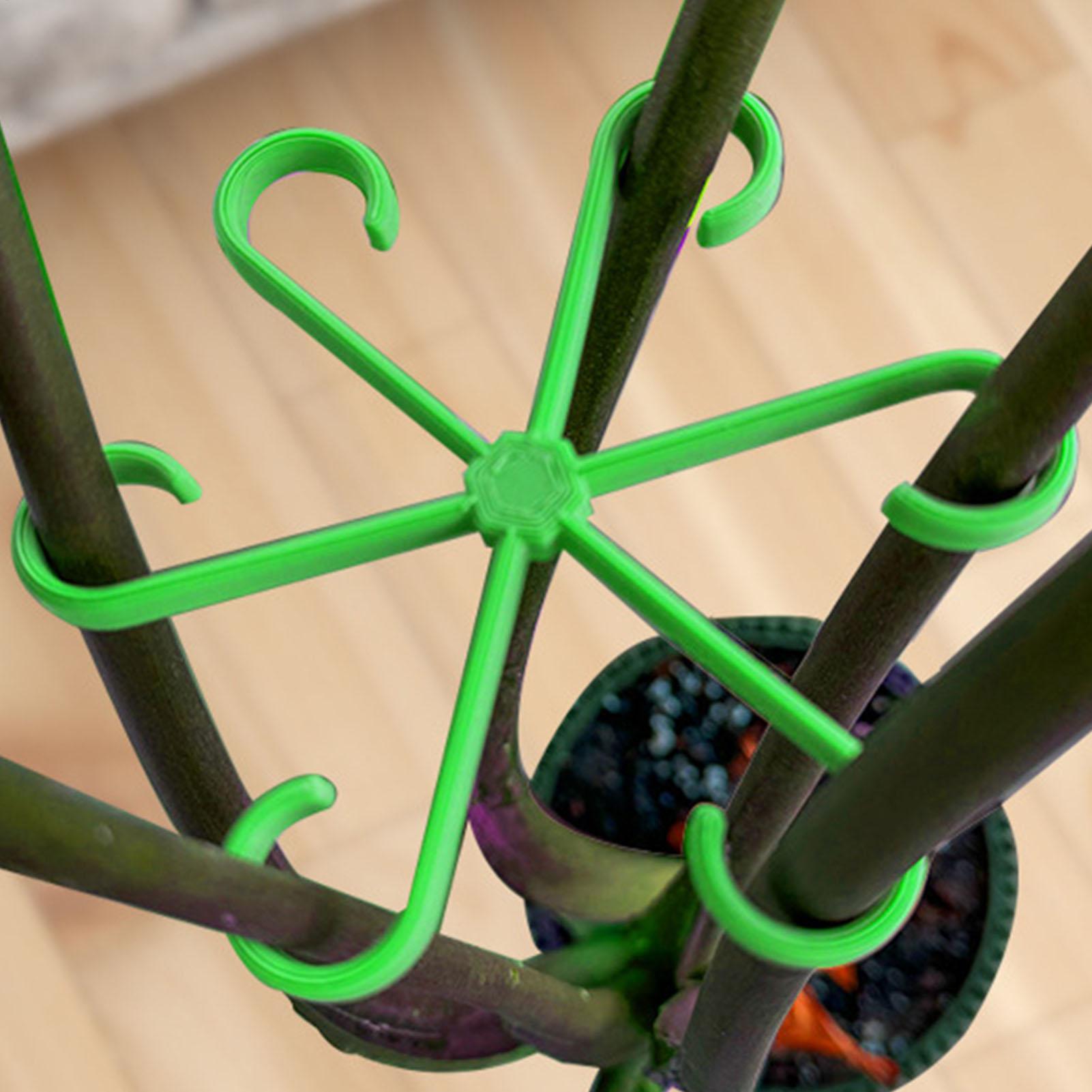 Variegated Monstera Node - 4 Stuks Planten Stem Ondersteuning Clips