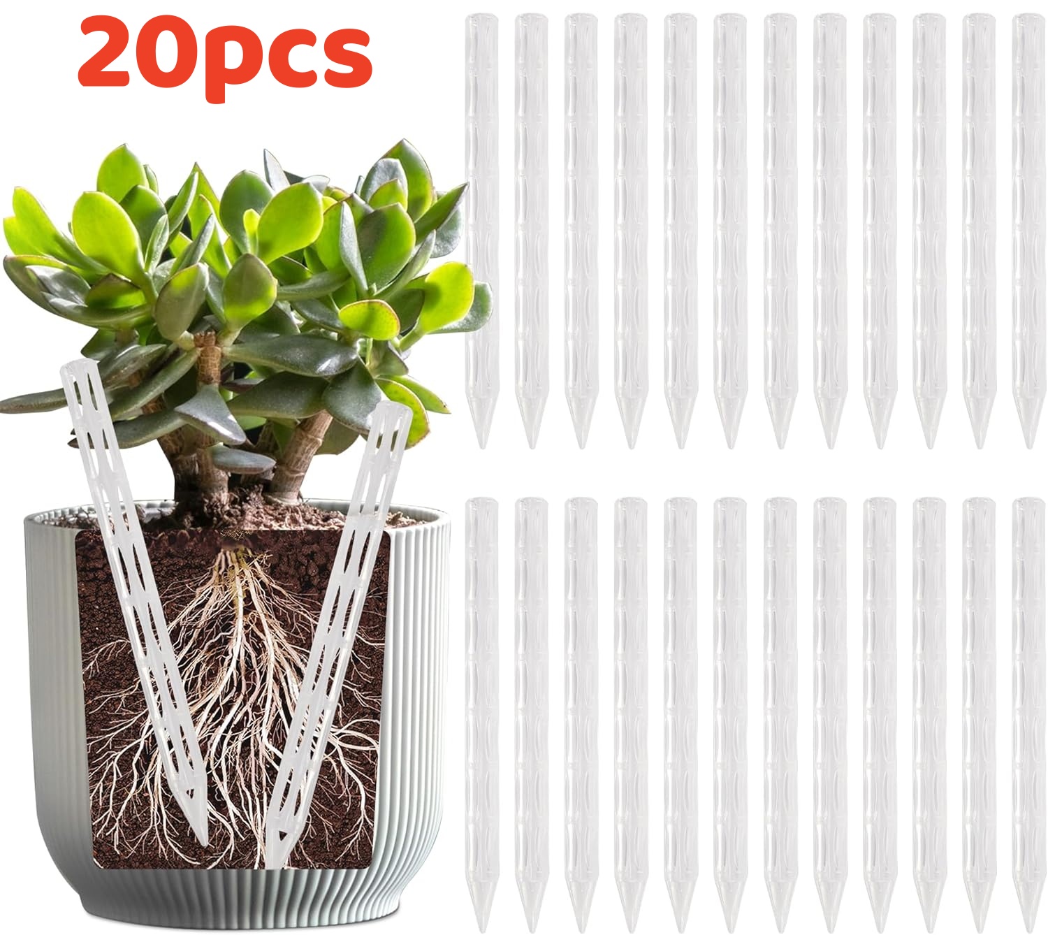 Plant Parenting - 10/20 stuks afvoerbuizen om wortelrot te