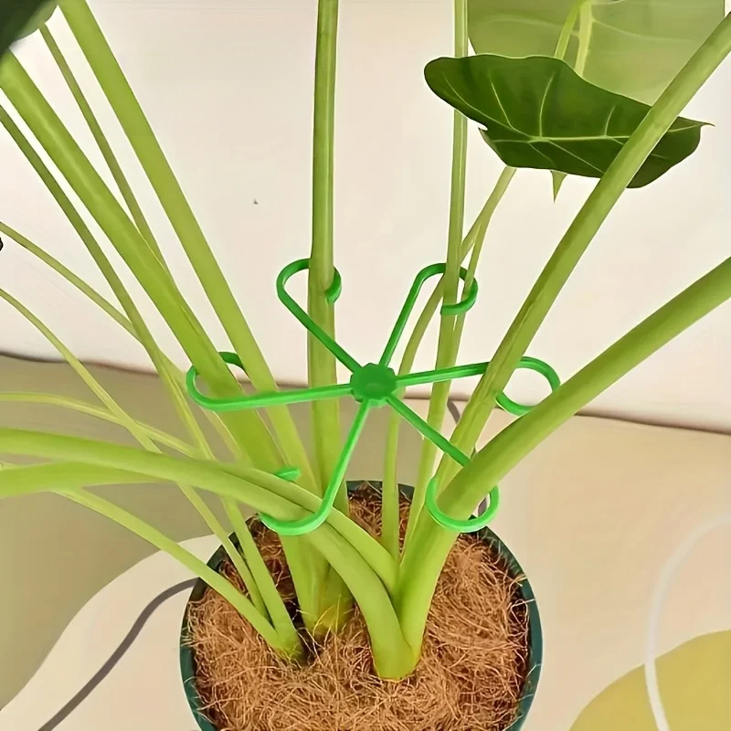 8-delige plantensteunset met b - Variegated Monstera Node recensie en prijs