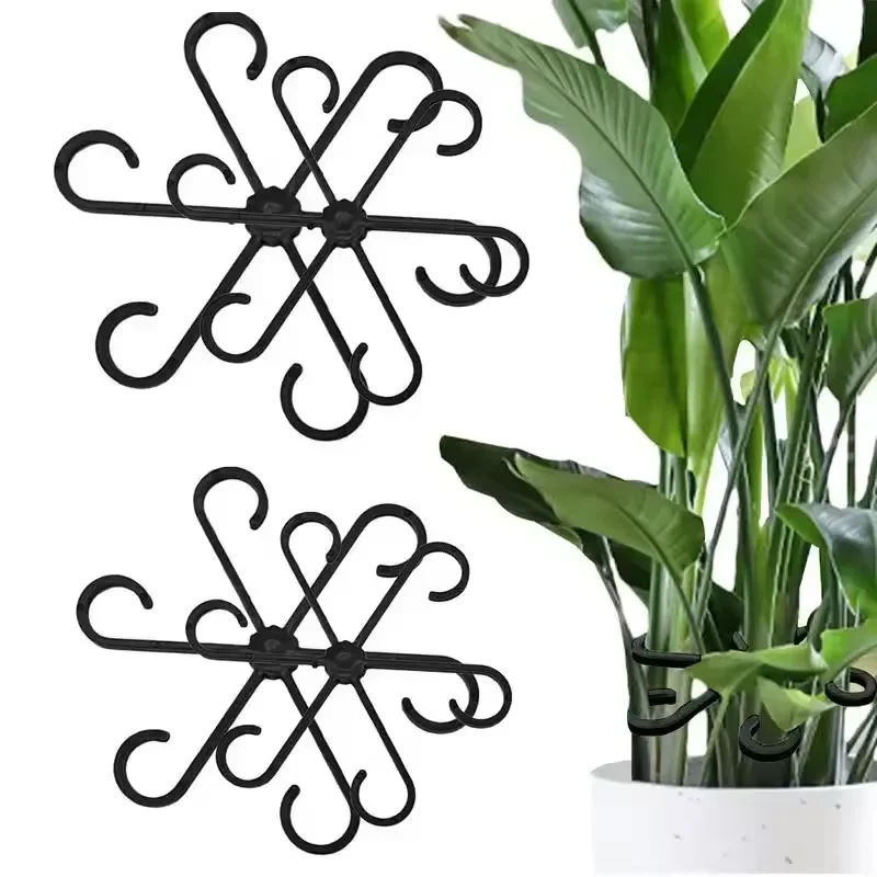 Stemsteun Alocasia Monstera Bl - Variegated Monstera Node recensie en prijs