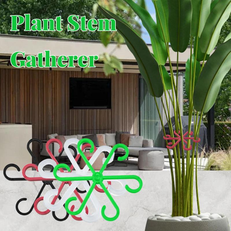 4 Stuks Klimplanten Ondersteun - Variegated Monstera Node recensie en prijs