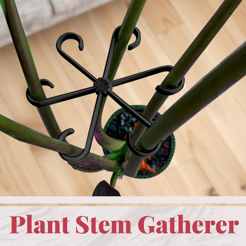 4 Stuks Klimplanten Ondersteun - Variegated Monstera Node recensie en prijs
