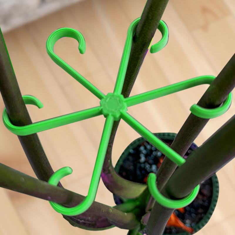4 Stuks Klimplanten Ondersteun - Variegated Monstera Node recensie en prijs