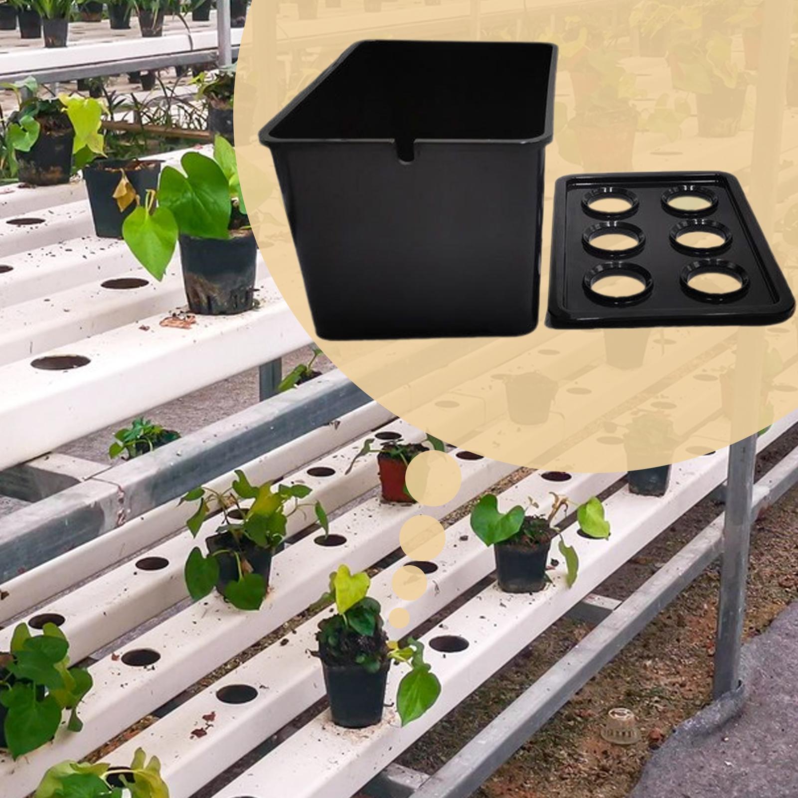 Hydrocultuur plantkit Beginner - Plant Parenting recensie en prijs