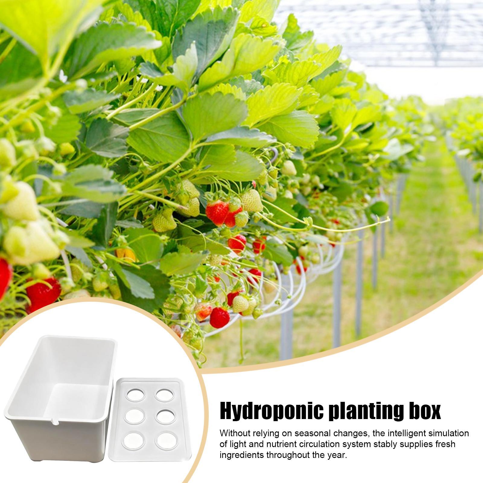 Hydrocultuur plantkit Beginner - Plant Parenting recensie en prijs