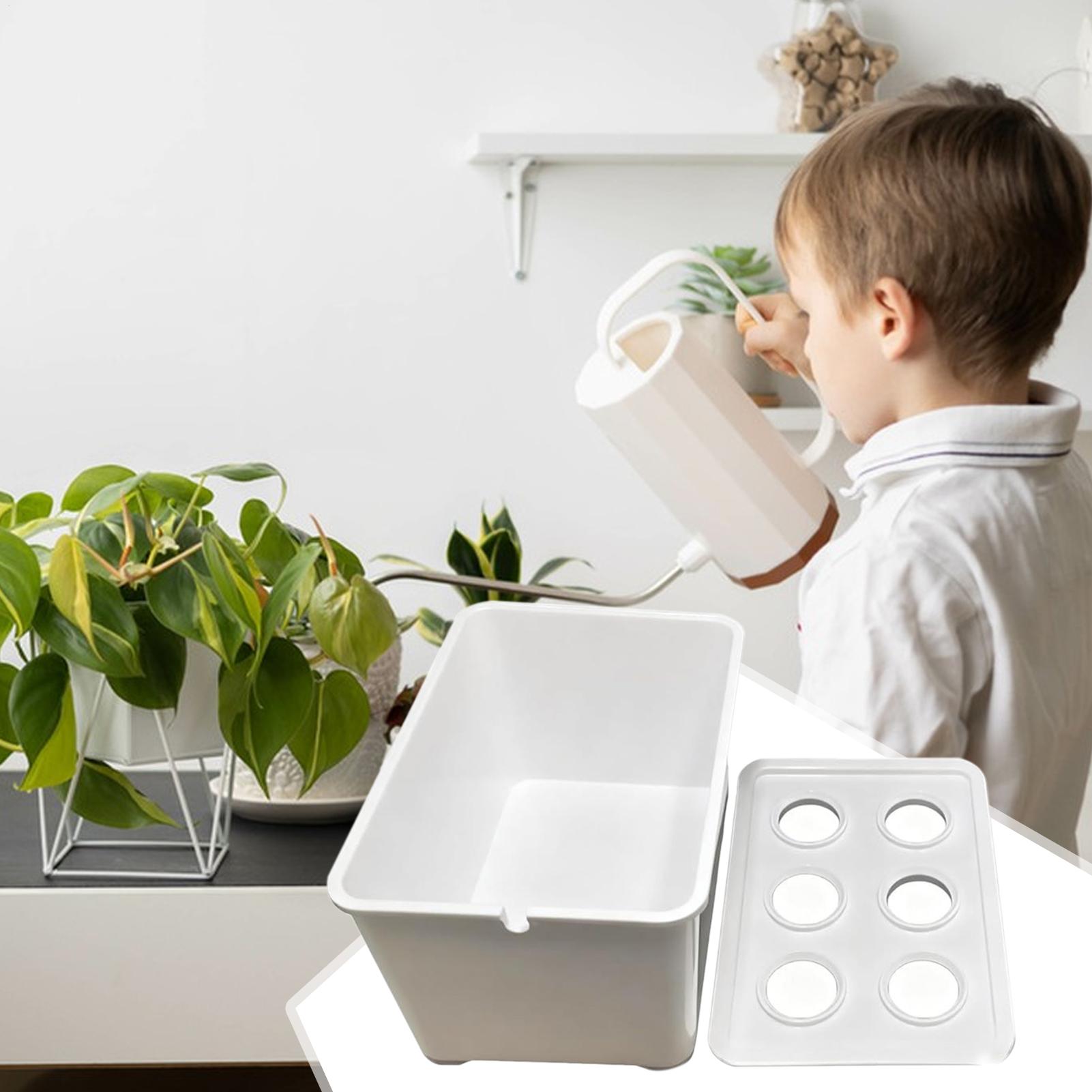 Hydrocultuur plantkit Beginner - Plant Parenting recensie en prijs