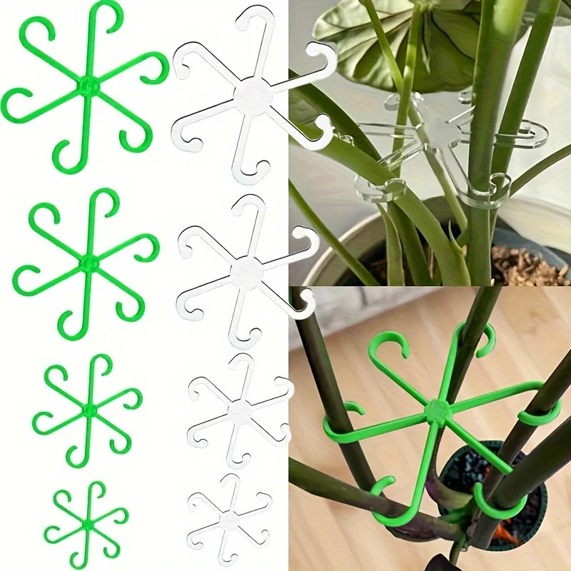 4 stuks klimplanten ondersteun - Variegated Monstera Node recensie en prijs