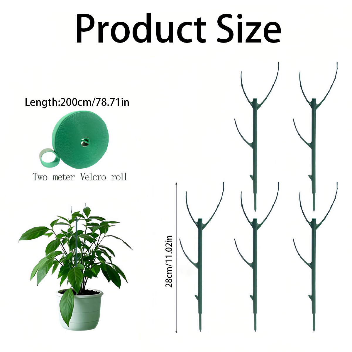 6 stuks Monstera plantensteunp - Variegated Monstera Node recensie en prijs