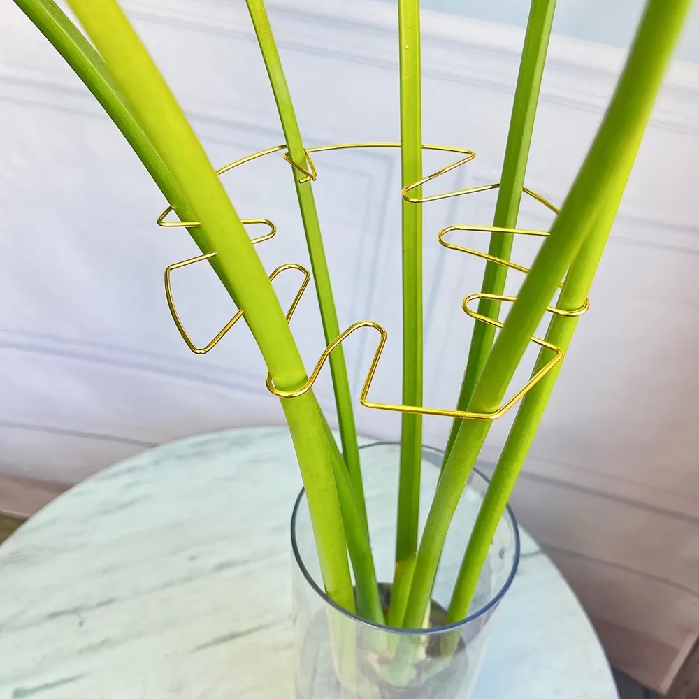 1Pc Grote plantenstandaard Kam - Variegated Monstera Node recensie en prijs