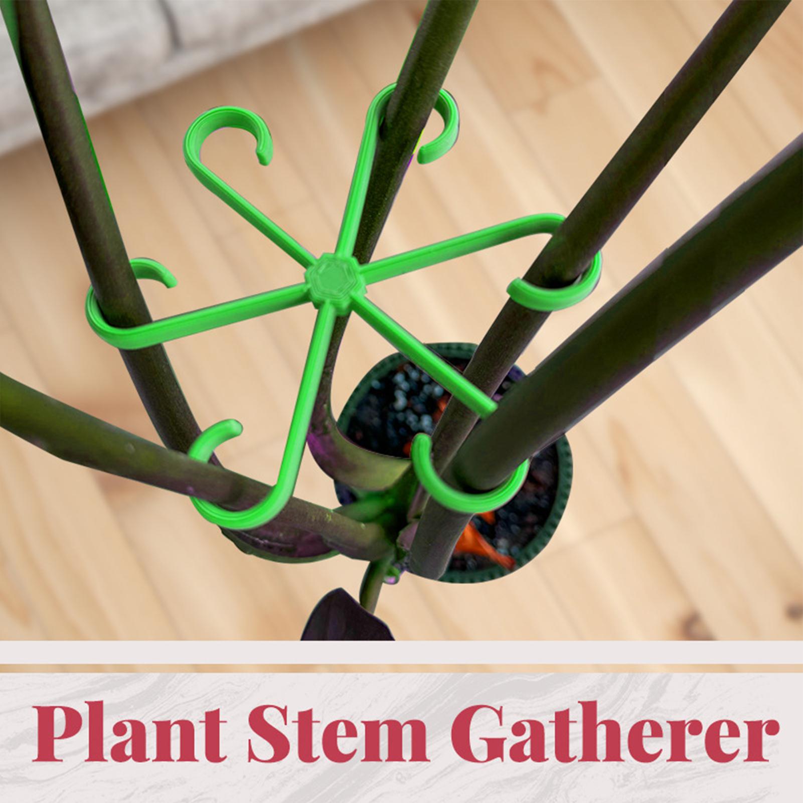 4 Stuks Planten Stem Ondersteu - Variegated Monstera Node recensie en prijs