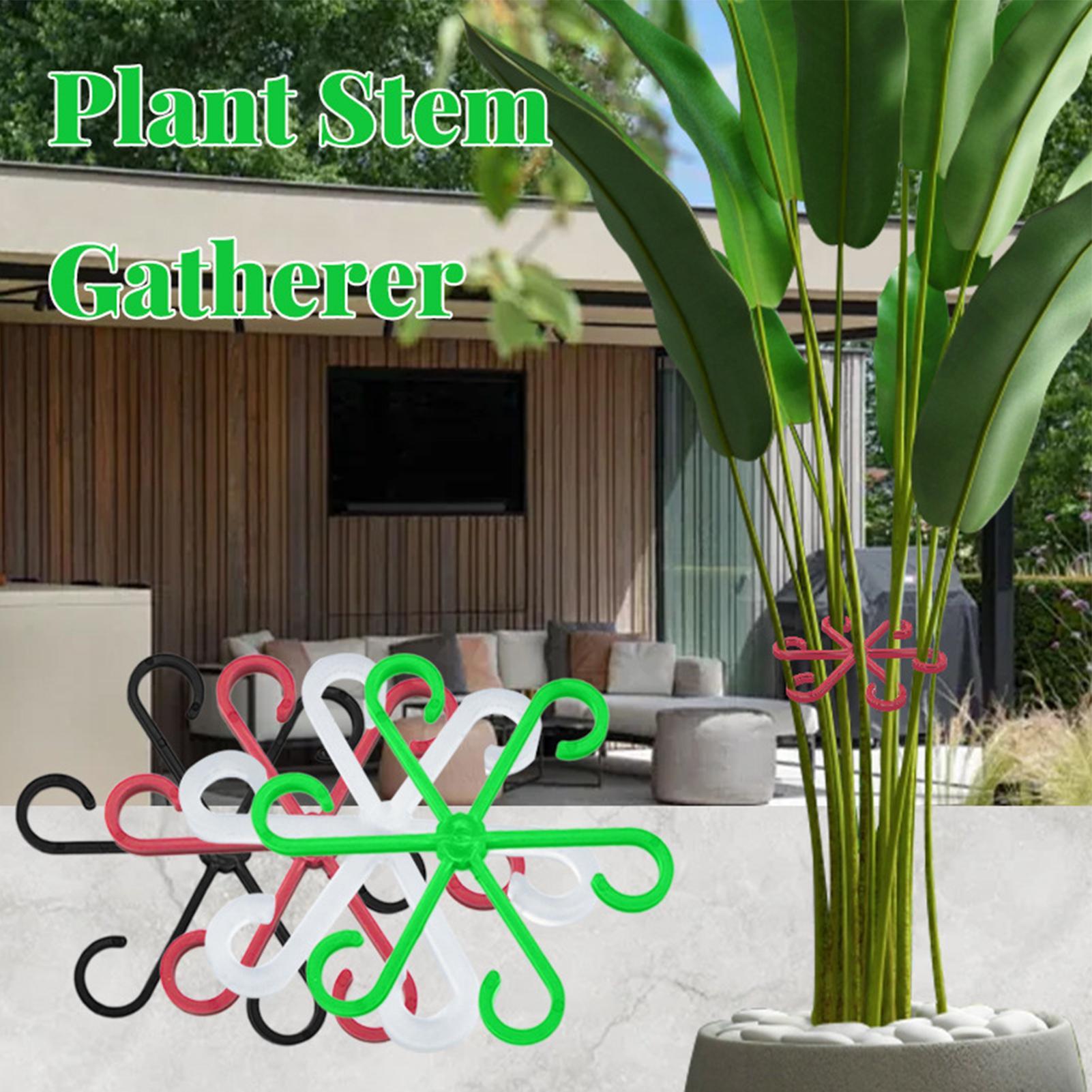 4 Stuks Planten Stem Ondersteu - Variegated Monstera Node recensie en prijs