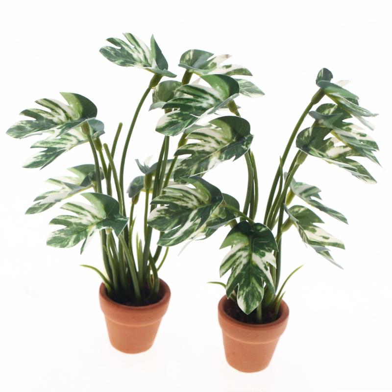New.1PC 1/12 Poppenhuis Simula - Plant Parenting recensie en prijs