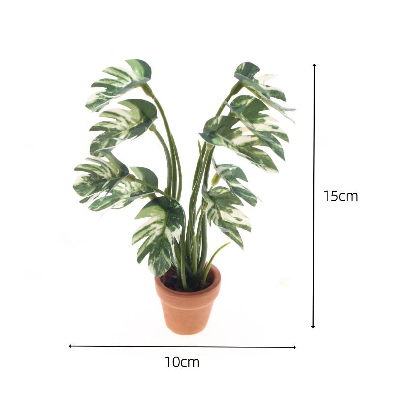New.1PC 1/12 Poppenhuis Simula - Plant Parenting recensie en prijs